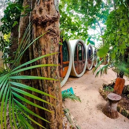 Tubo Tulum Hostel מראה חיצוני תמונה