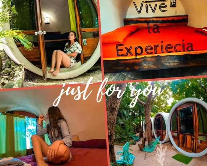 Tubo Tulum Hostel מראה חיצוני תמונה