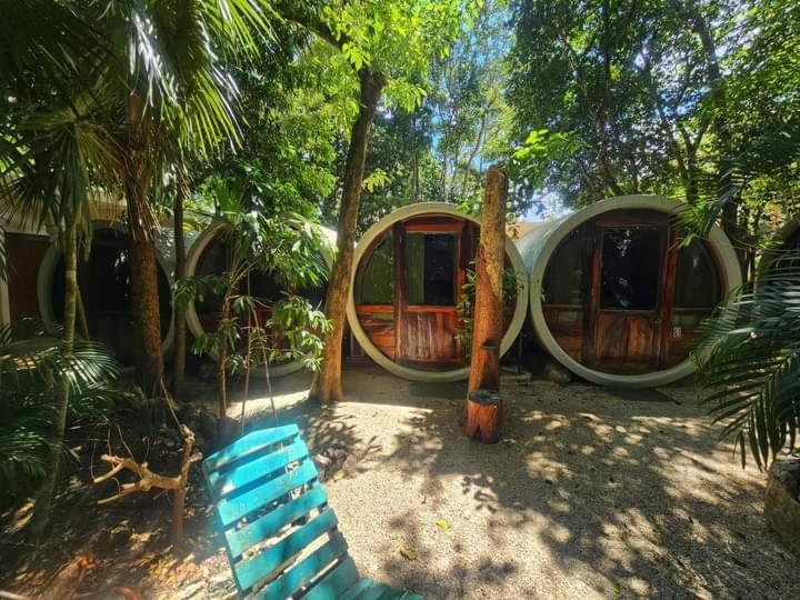 Tubo Tulum Hostel מראה חיצוני תמונה