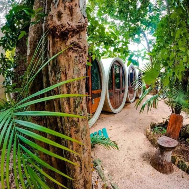 Tubo Tulum Hostel מראה חיצוני תמונה