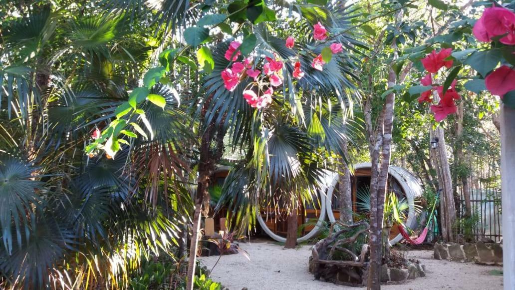 Tubo Tulum Hostel מראה חיצוני תמונה
