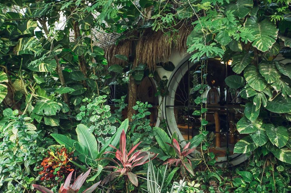 Tubo Tulum Hostel מראה חיצוני תמונה
